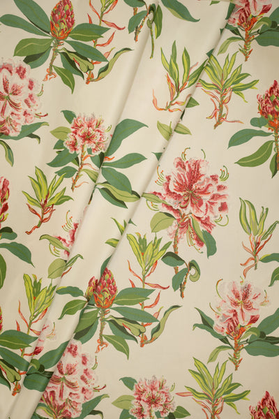 jm-623 pink/green_RHODODENDRON SPRIG