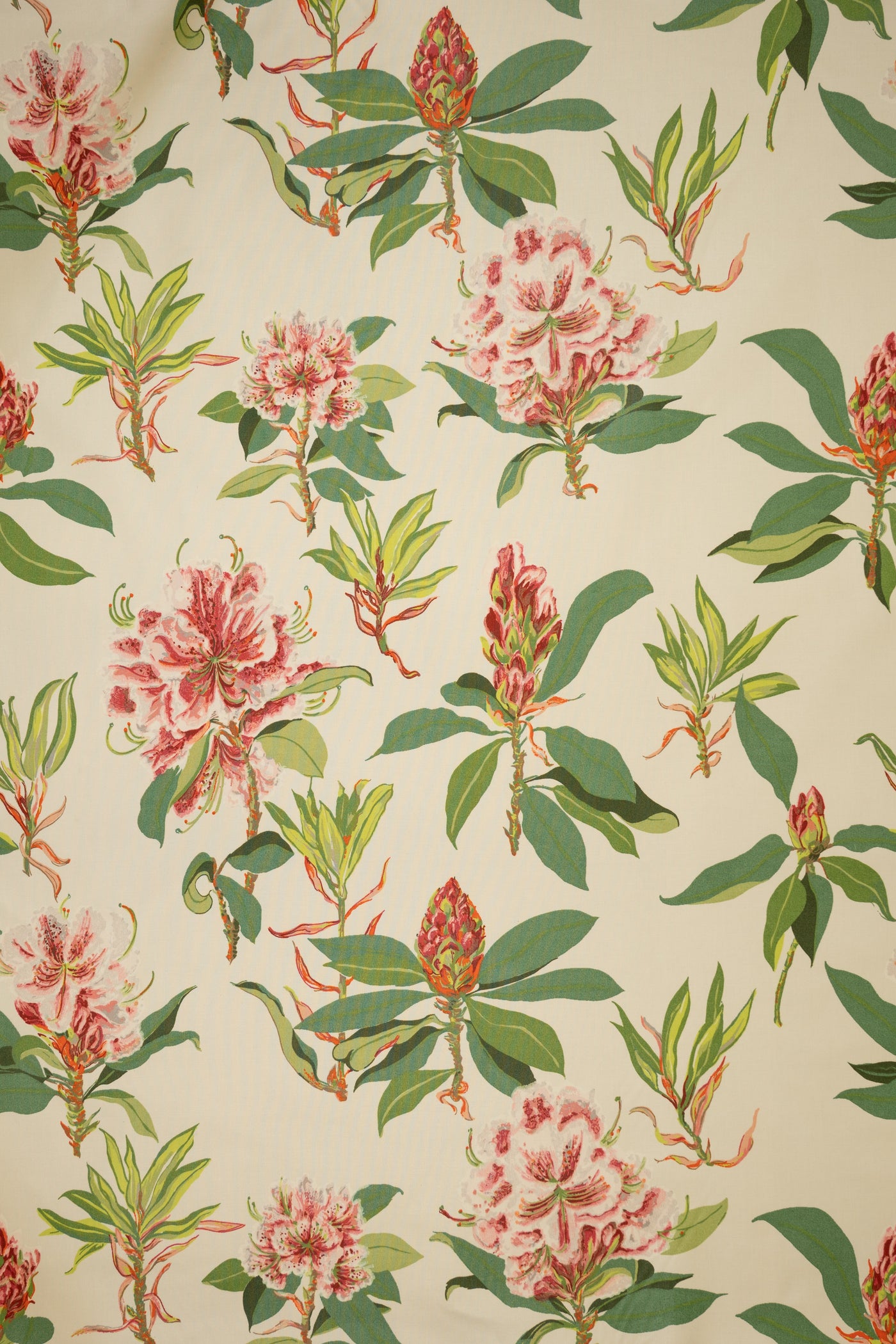jm-623 pink/green_RHODODENDRON SPRIG