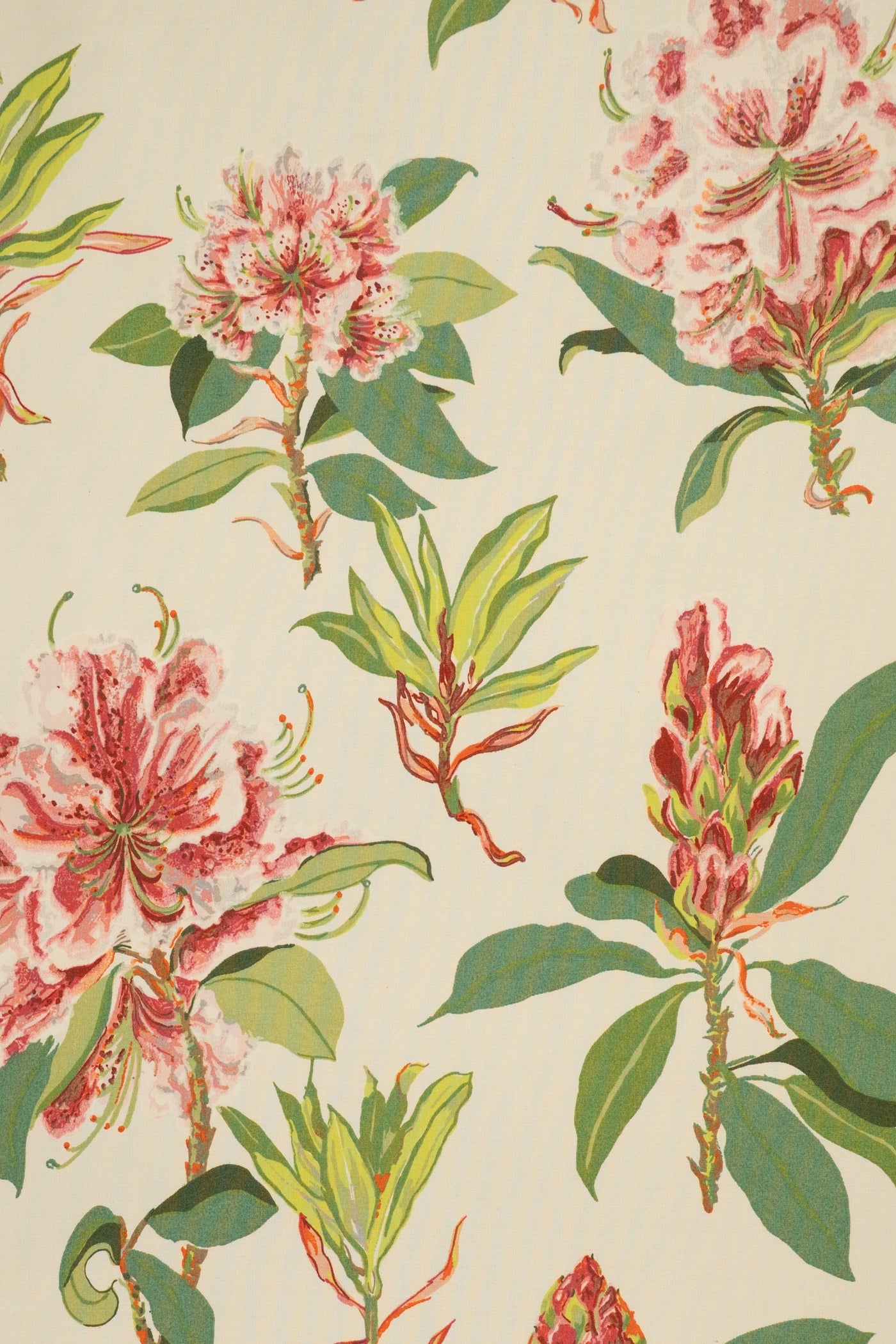 jm-623 pink/green_RHODODENDRON SPRIG