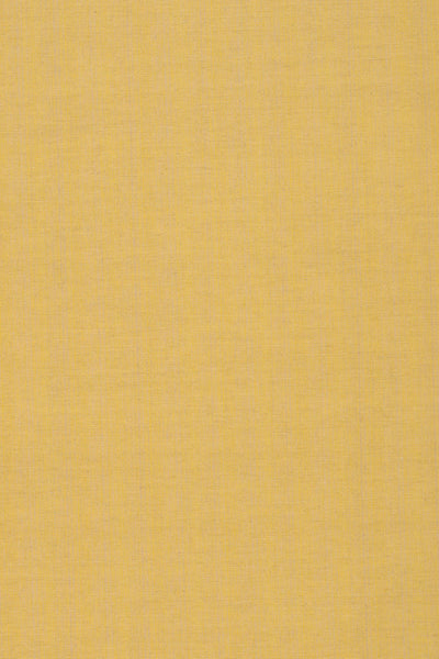 saffron rsc-2002-13_SAN LUCA STRIE
