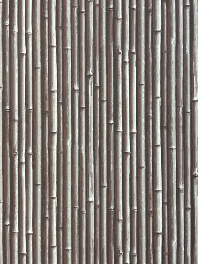 NHP-PAL-06 Thatched Roof Taupe_Palm Beach