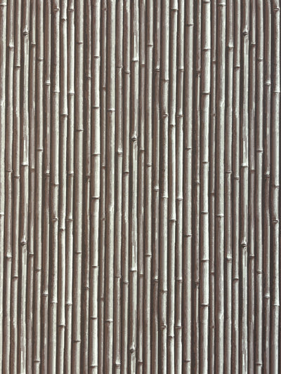 NHP-PAL-06 Thatched Roof Taupe_Palm Beach