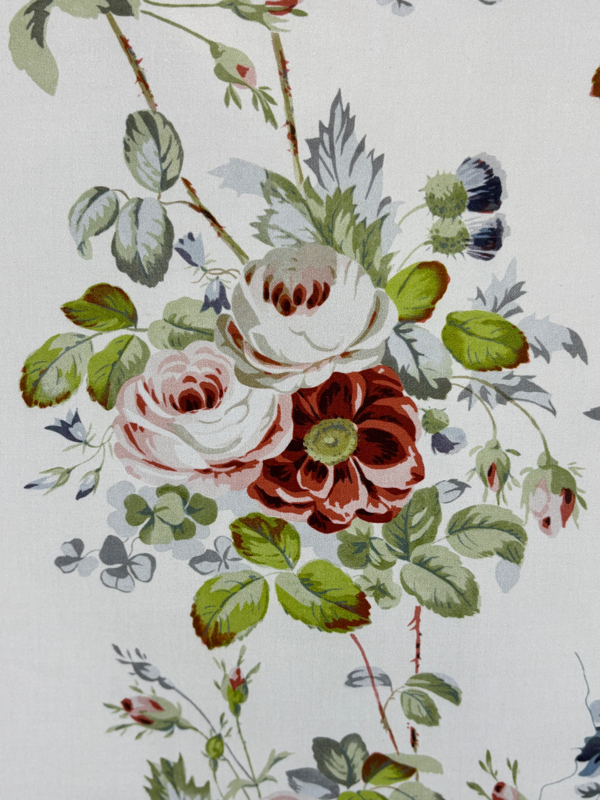 Document_Victoria & Albert