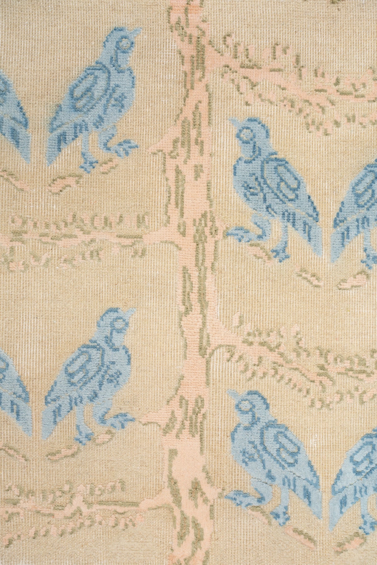 Sky Blush_Bird Chatter