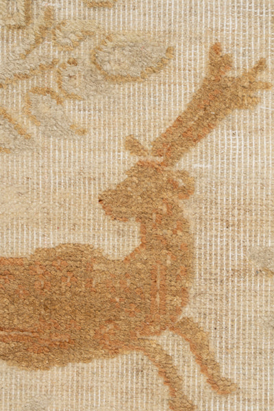 Fall_Deer Deer